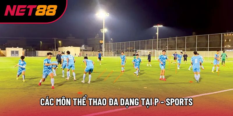 Các môn thể thao đa dạng tại P - sports Các môn thể thao đa dạng tại P - sports